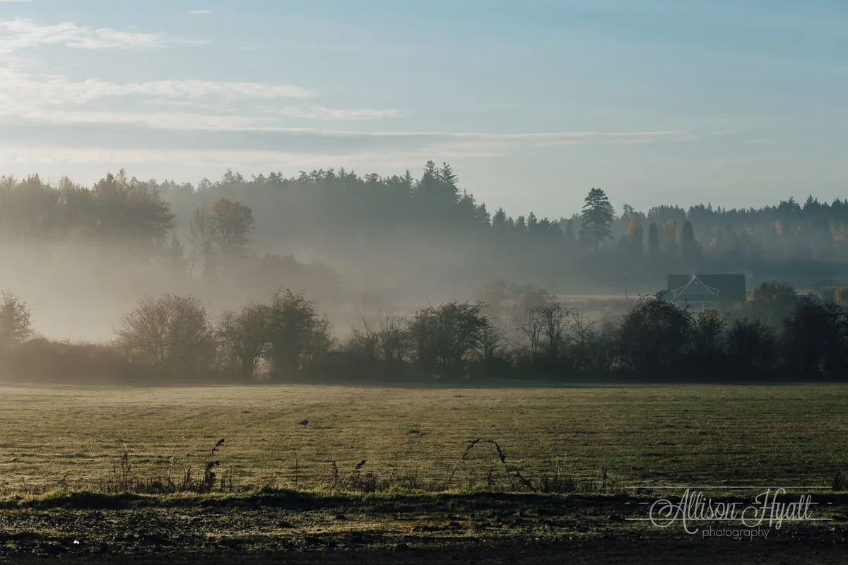 Painted Horse Equestrian — Saanichton (2)