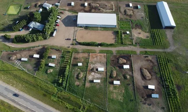 Paints-Plus Equine Center — Sherwood Park (3)