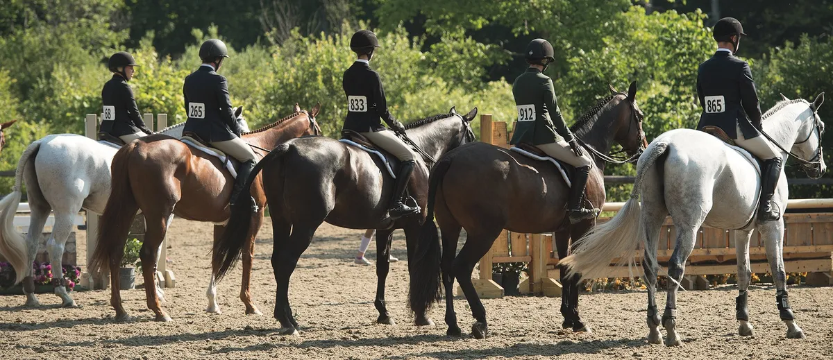Peninsula Equestrian — Victoria (2)