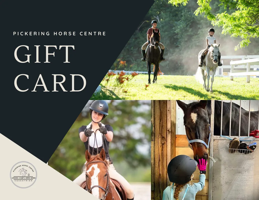 Pickering Horse Centre Ltd — Claremont (2)