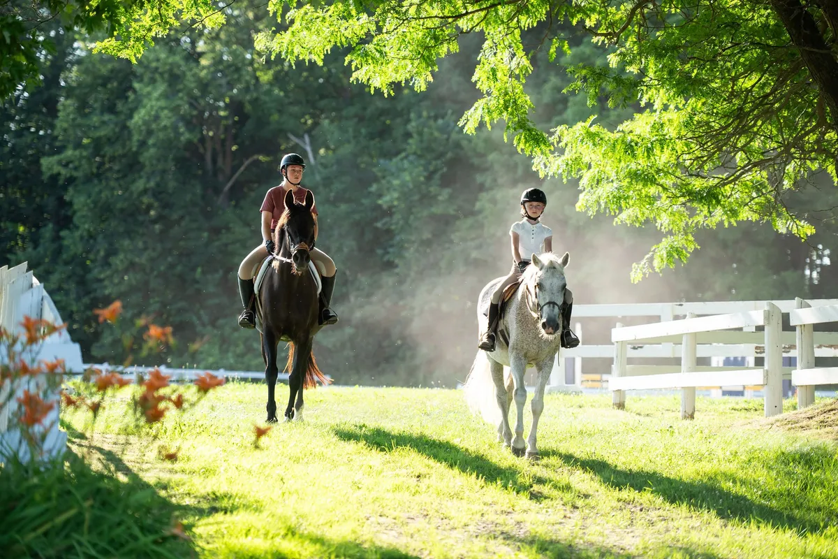Pickering Horse Centre Ltd — Claremont (3)