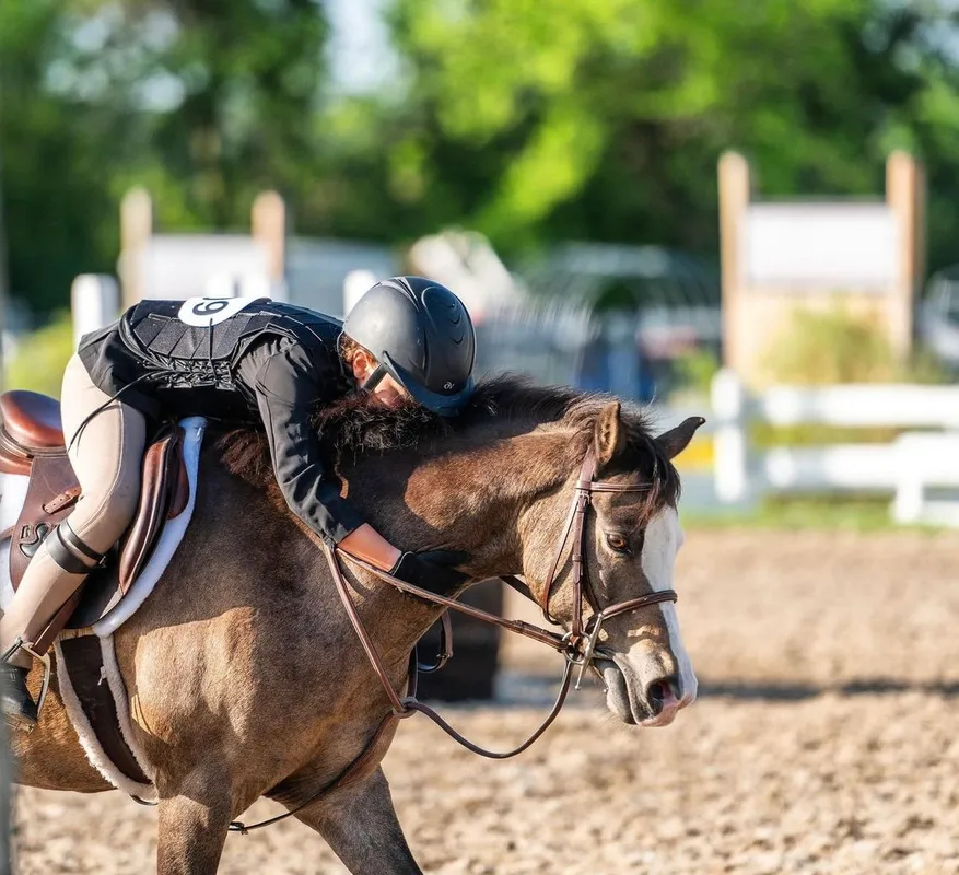 Pickering Horse Centre Ltd — Claremont (4)