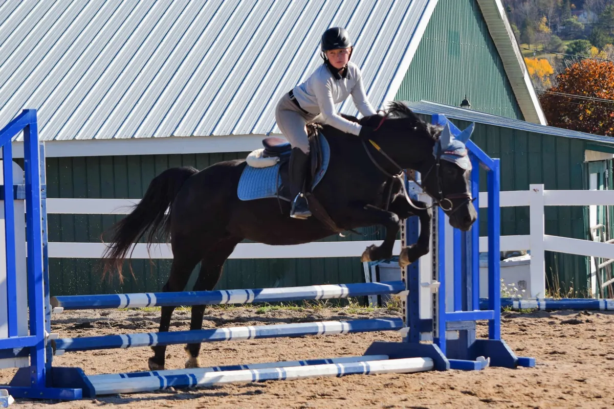 Picket Hill Equestrian Centre — Estey's Bridge (1)