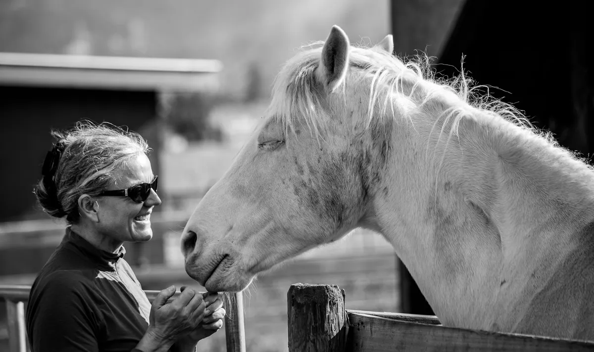 Poplar Grove Stables & Zurmuhle Equestrian Center — Armstrong (2)