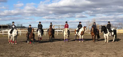 Prairie Breeze Stables — Brandon (3)