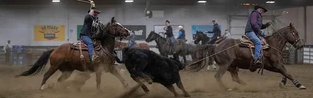 Prince George Horse Society — Prince George (1)