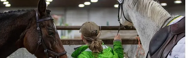 Prince George Horse Society — Prince George (3)
