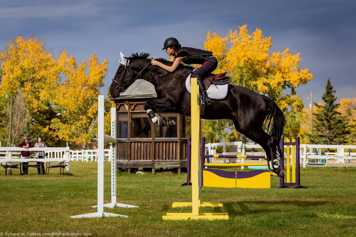 Prospect Downs Stables — Calgary (2)