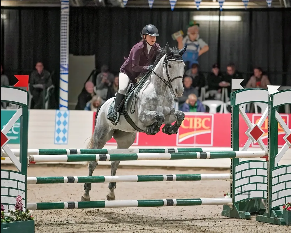 Prospect Downs Stables — Calgary (4)
