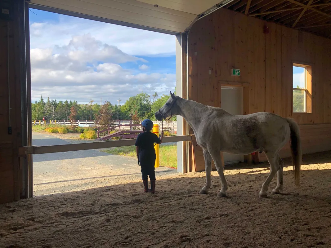 Rainbow Riders Therapeutic Riding Centre — St. John's (1)