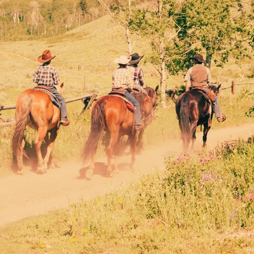 Ranch Belway — Ripon (2)