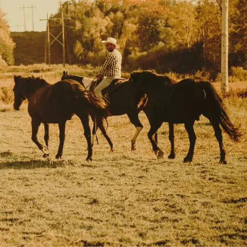 Ranch Belway — Ripon (3)