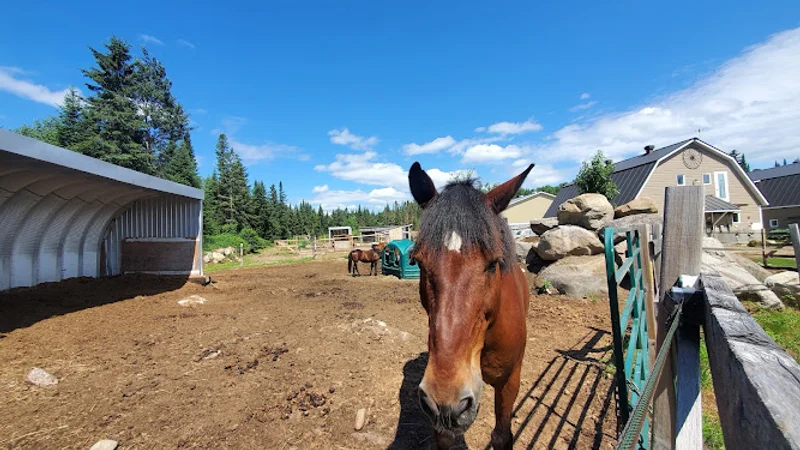 Ranch LaDouceur — Sainte-Agathe-des-Monts, Montérégie