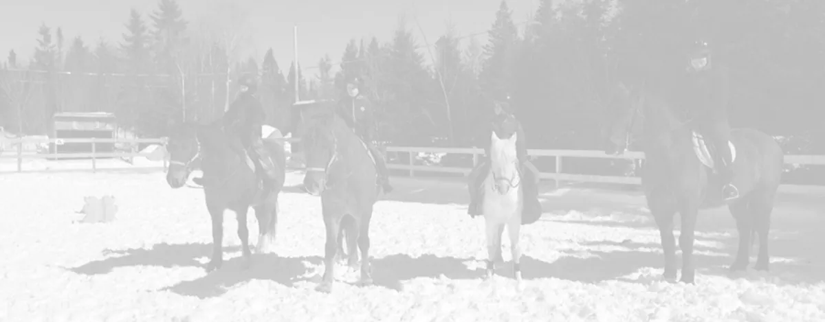 Ranch LaDouceur — Sainte-Agathe-des-Monts (2)