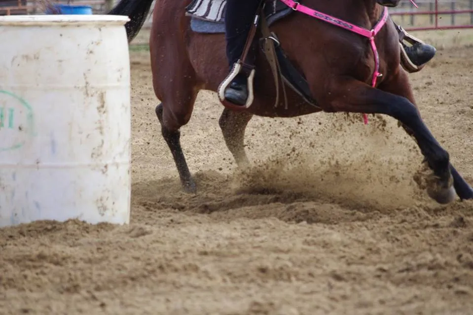 Red River Roping and Riding Arena — Red Wing Rd (2)