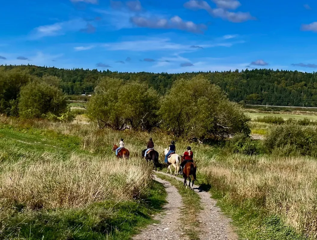 Riverbank Trail Riding — Nauwigewauk (1)