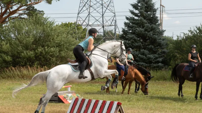 Rivers Edge Stables