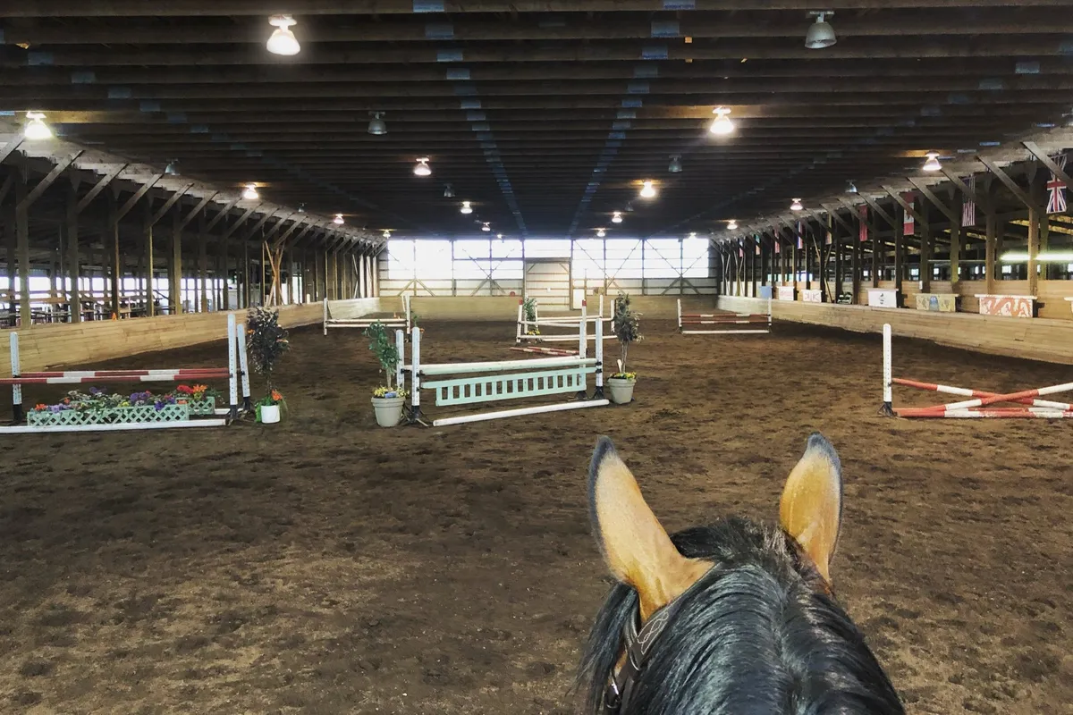 Riverside Equestrian Centre Inc — Richmond (3)