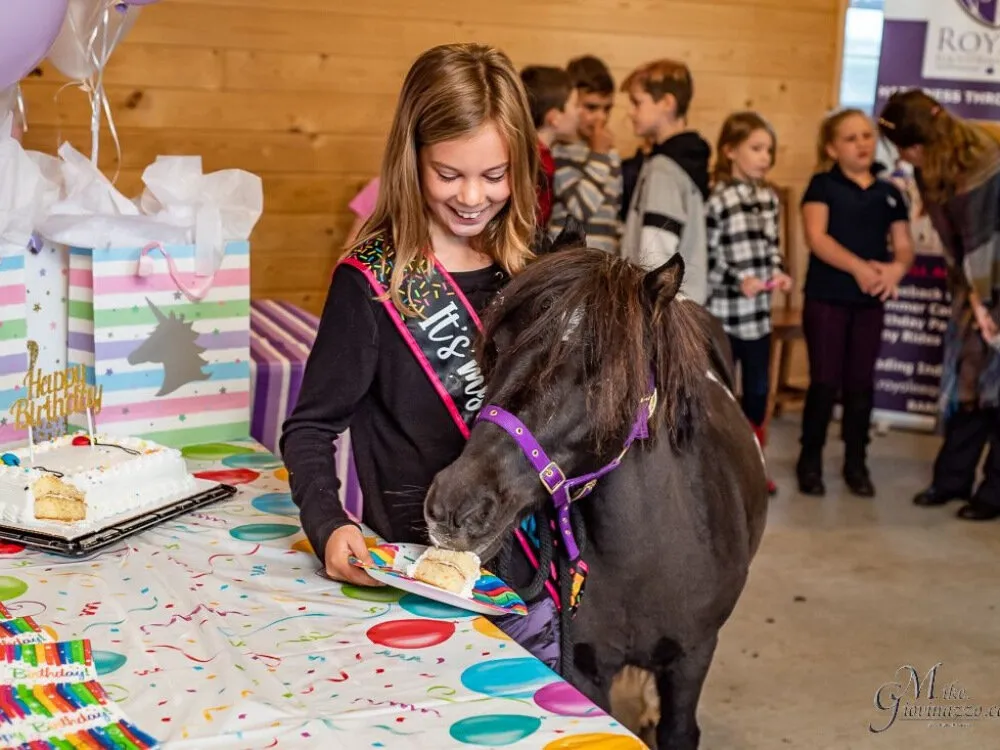 Royale Equestrian Centre — Ottawa (4)