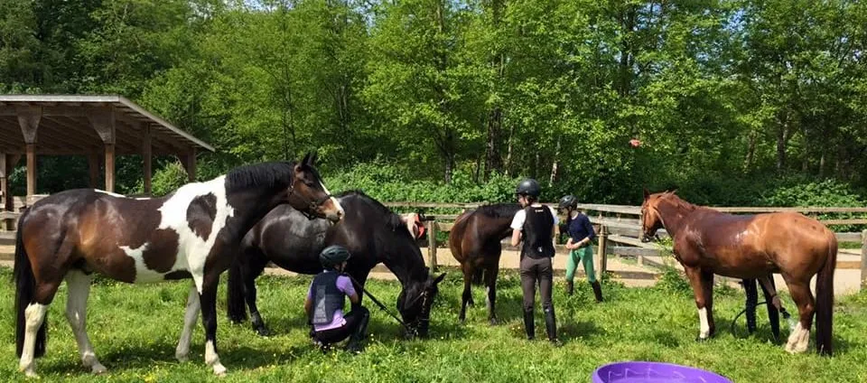 Sacred Equestrians — Langley Twp (1)