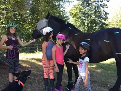 Sacred Equestrians — Langley Twp (2)