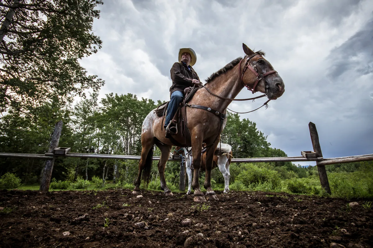 Saddle Peak Trail Rides — Cochrane (3)