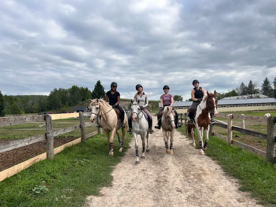 Saddlewood Riding Camp and Equestrian Centre — Bethany (2)