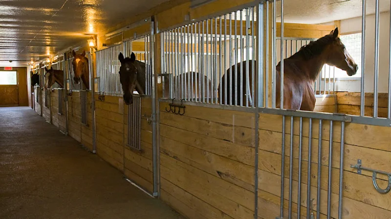 Saint-François Stables in Laval, Quebec