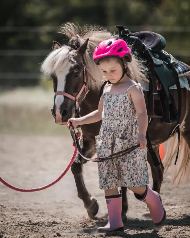 School Riding La Crinière D'or — Saint-Luc-de-Vincennes (4)