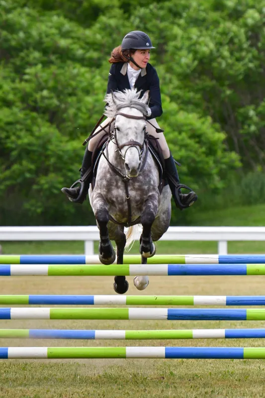 Shoreside Stables (formerly All About Horses) — Thedford (1)