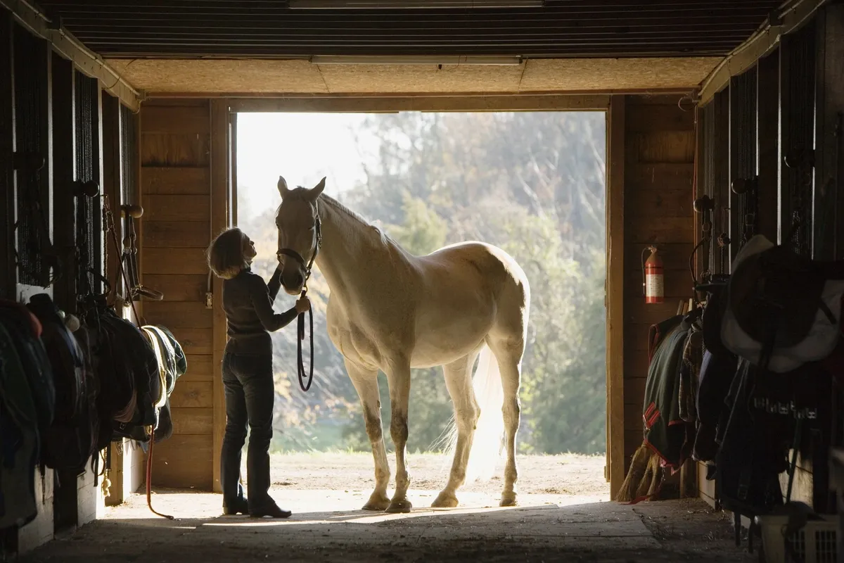 SILVER CREEK EQUESTRIAN — Okotoks (1)