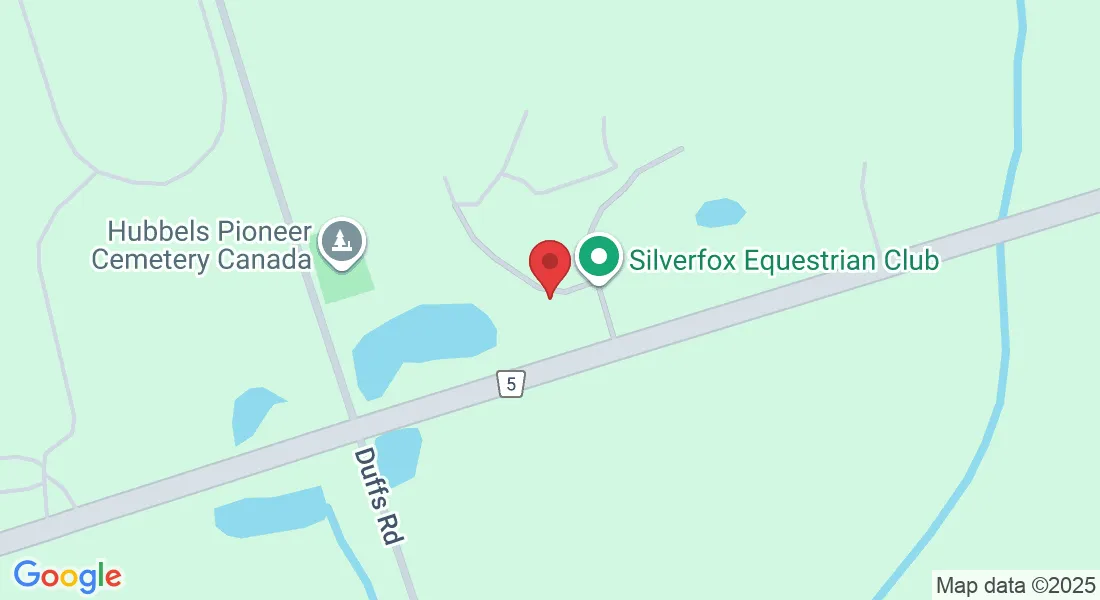Silverfox Equestrian Club — Ashburn (2)