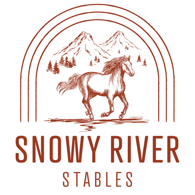 Snowy River Stables — Paris (1)