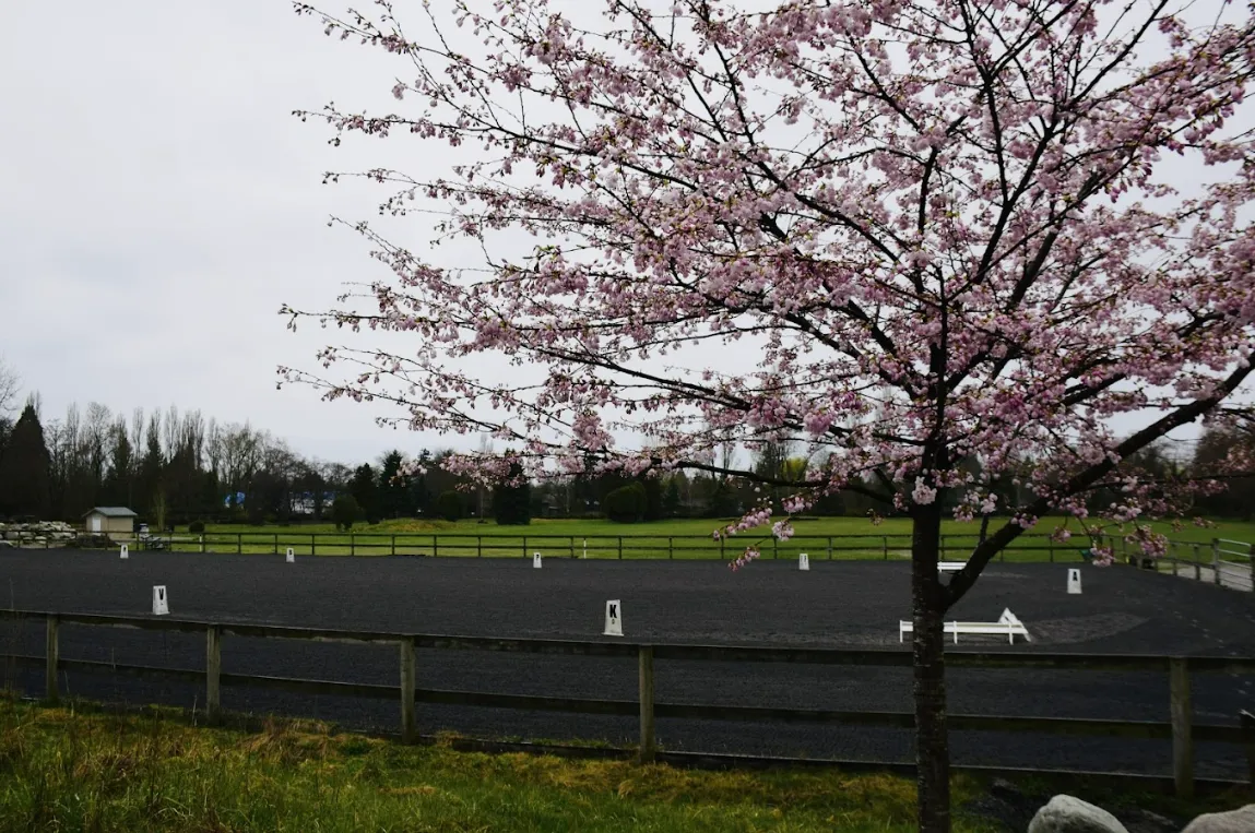 Southlands Riding Club — Vancouver (1)