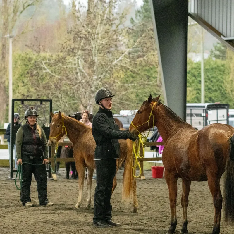 Southlands Riding Club — Vancouver (3)