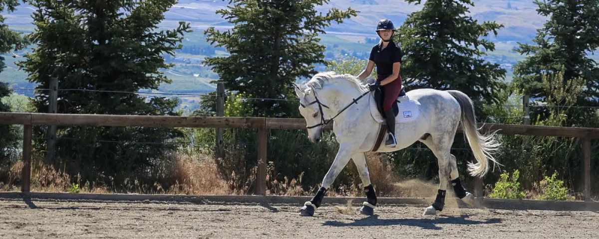 Spirit Ridge Equestrian Centre — Kelowna (1)