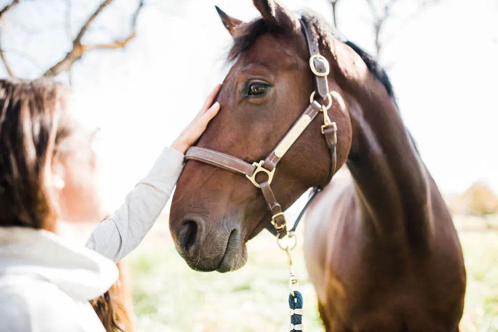 Spring Valley Stable — Site (2)