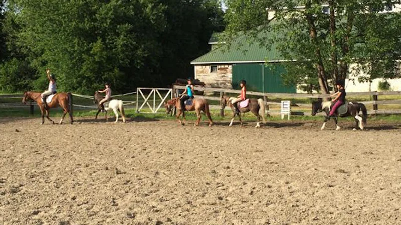 St Laurent Dressage | Equestrian Center Verchères — Verchères, Montérégie