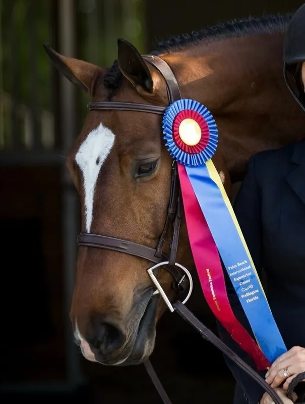 Stonewood Riding Academy — Pickering (2)