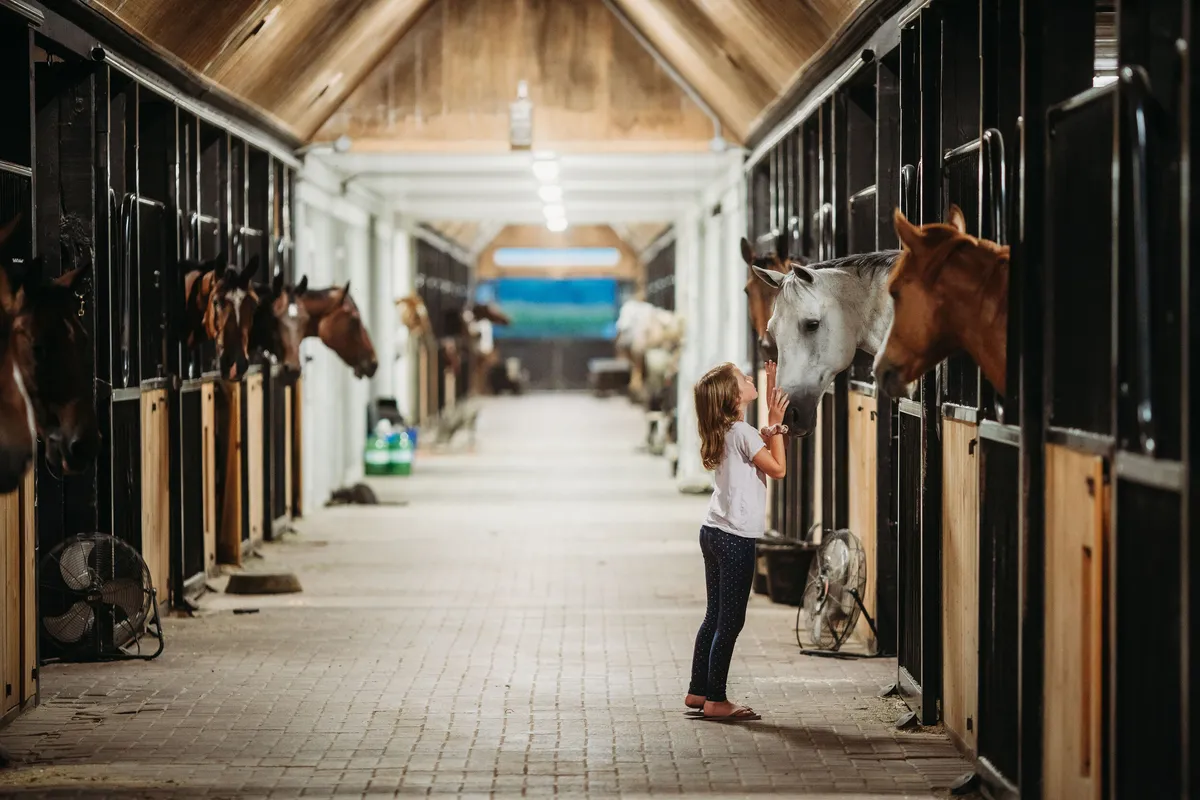 Stonewood Riding Academy — Pickering (3)
