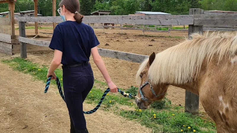 The Equi-AMI stables — Shawinigan, Montérégie