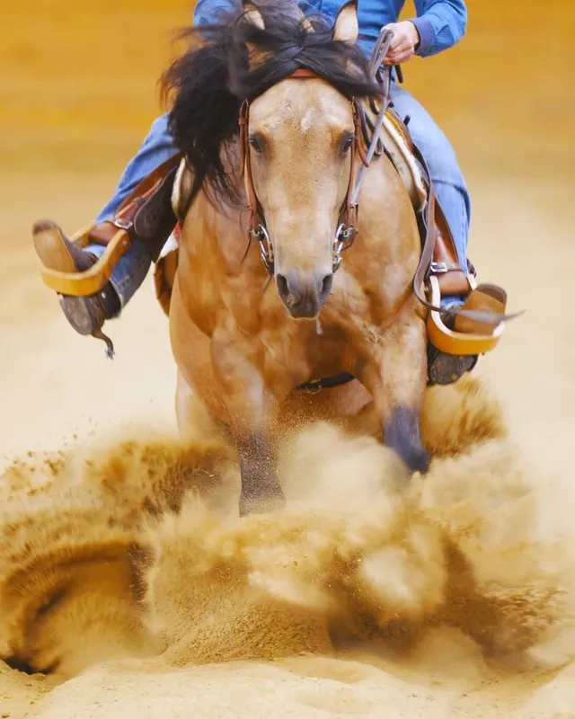 The Horse Palace — Wardner (3)