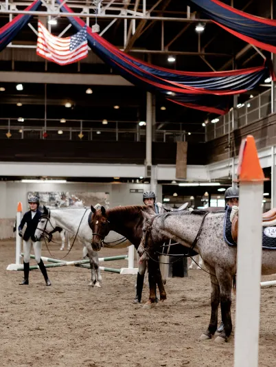 Toronto Equestrian Downtown — Toronto (3)
