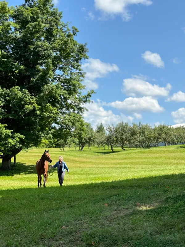 Toronto Equestrian — King City (2)