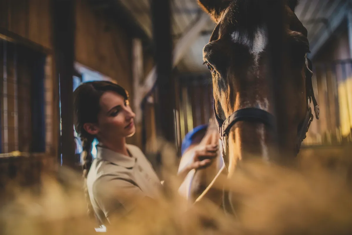 Town & Country Equestrian — Vancouver (1)