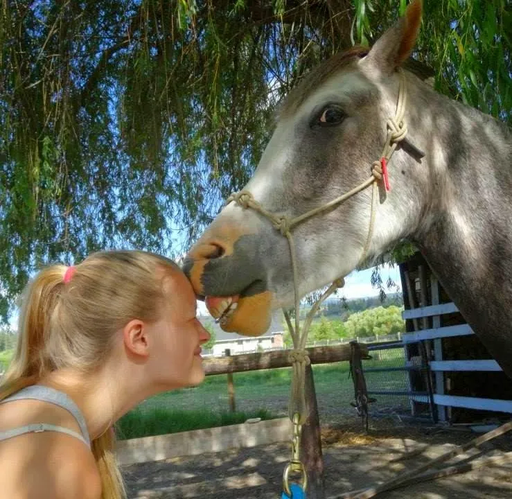 Trapalanda Farms Kelowna Horse Riding Lessons — Kelowna (2)