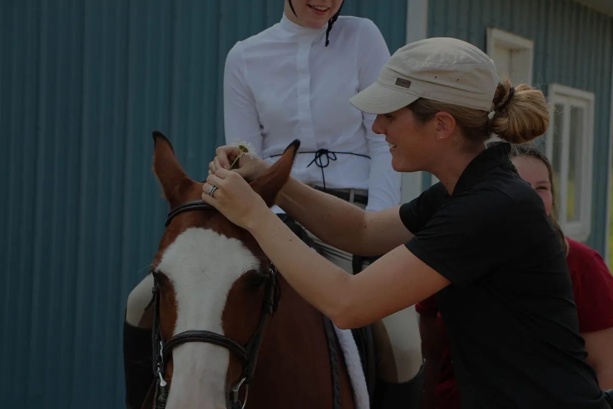 Trevella Stables — Hanmer (3)