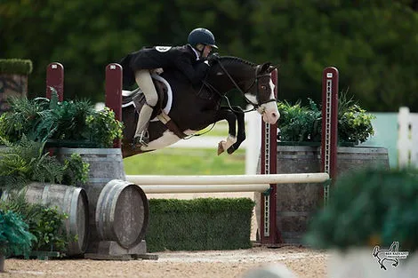 Turnout Stables - Williams' Farm — Kemptville (1)
