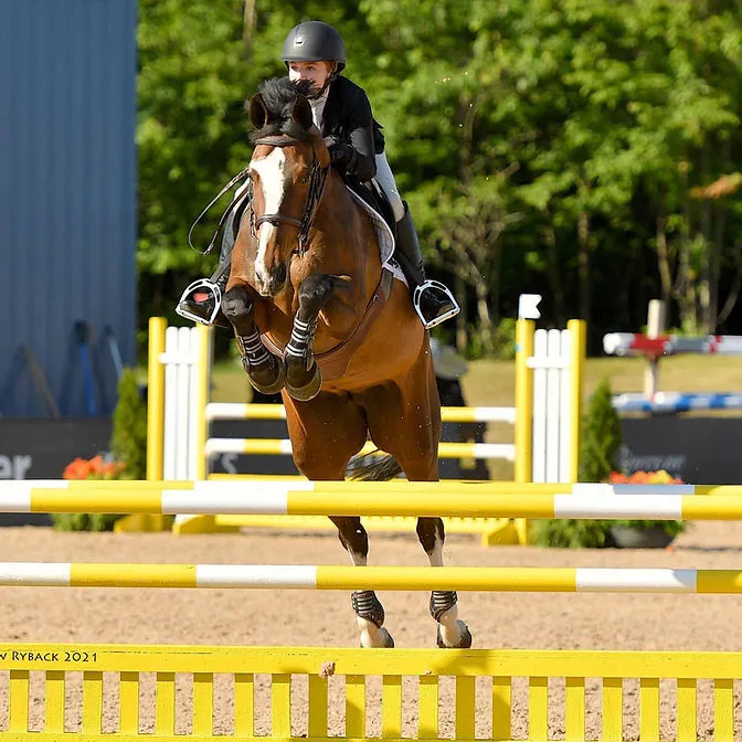 Vantage Point Equestrian — Rocky View County (1)