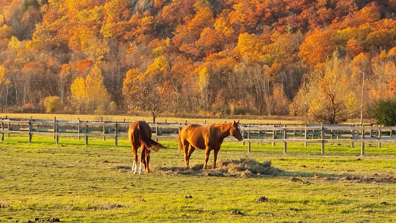 Venturing Hills Farm — Luskville, Montérégie